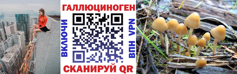 Галлюциногенные грибы Psilocybe  OMG   Балашиха  хочу наркоту 