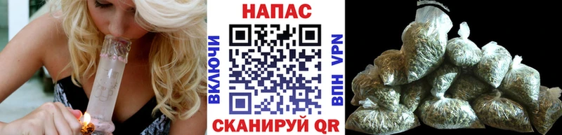 shop официальный сайт  купить   Балашиха  Конопля Bruce Banner 